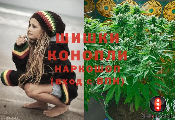 прущие грибы Кодинск