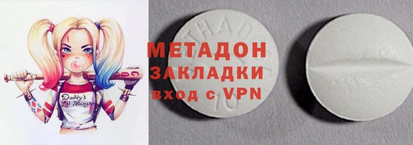 прущие грибы Кодинск