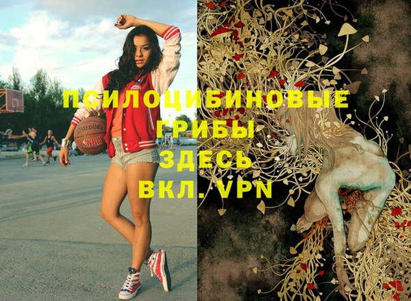 прущие грибы Кодинск
