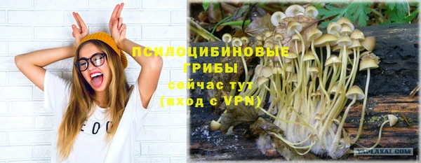 прущие грибы Кодинск