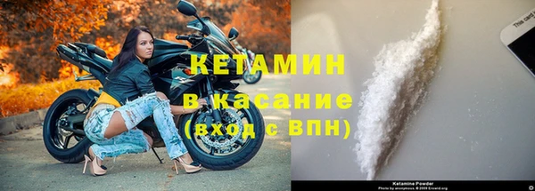 прущие грибы Кодинск
