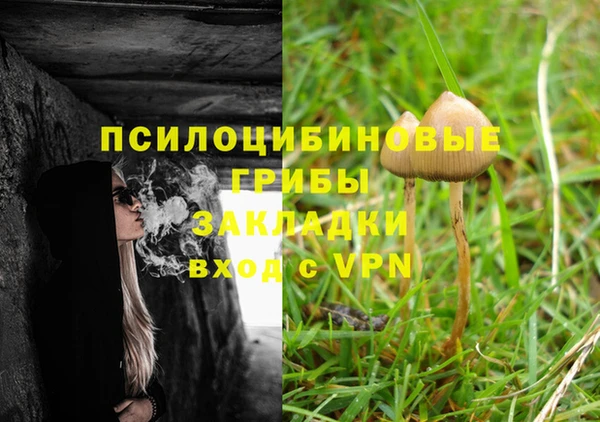 MESCALINE Козельск