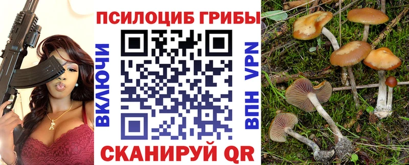 блэк спрут зеркало  Мосальск  Галлюциногенные грибы GOLDEN TEACHER  как найти наркотики 