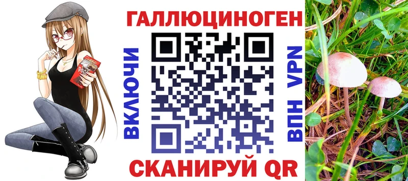 Галлюциногенные грибы ЛСД Мосальск