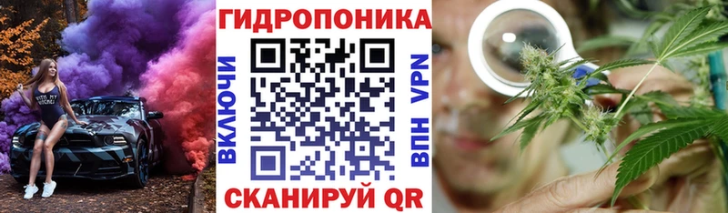 наркошоп  Мосальск  Канабис OG Kush 